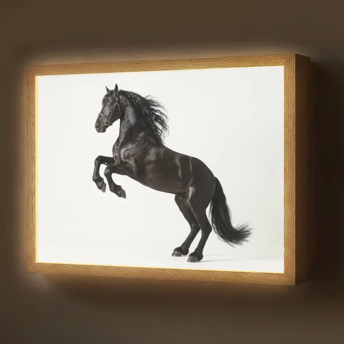 Zwart - Paard - Portret Light Box met batterij (Wandlamp) middel -z3d_website