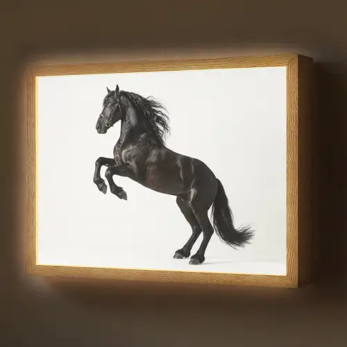 Zwart - Paard - Portret Light Box met batterij (Wandlamp) middel -z3d_website