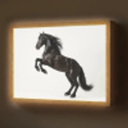Zwart - Paard - Portret Light Box met batterij (Wandlamp) middel -z3d_website