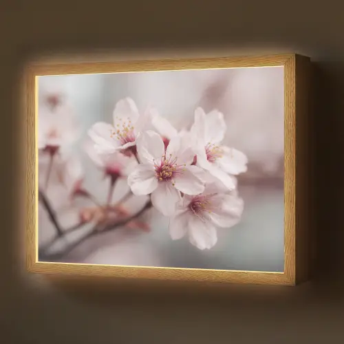 Bloesems - Meeldraden - Geel - Wazig Light Box met batterij (Wandlamp) middel -z3d_website