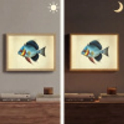 Blauw - Kieuwen - Vis - Illustratie Light Box met batterij (Wandlamp) middel -sfeer3