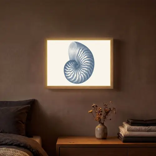 Blauw - Schelp - Spiraal Light Box met batterij (Wandlamp) middel -sfeer4