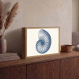 Blauw - Schelp - Spiraal Light Box met batterij (Wandlamp) middel -sfeer2