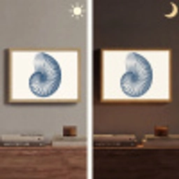 Blauw - Schelp - Spiraal Light Box met batterij (Wandlamp) middel -sfeer3