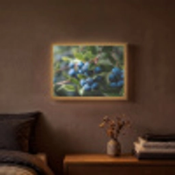 Blauwe bessen - Dauwdruppels - Natuurlijk licht Light Box met batterij (Wandlamp) middel -sfeer4