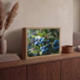 Blauwe bessen - Dauwdruppels - Natuurlijk licht Light Box met batterij (Wandlamp) middel -sfeer2