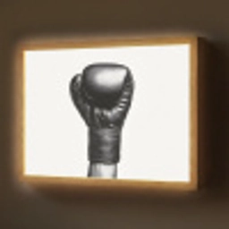 Bokshandschoen - Zwart - Hand Light Box met batterij (Wandlamp) middel -z3d_website