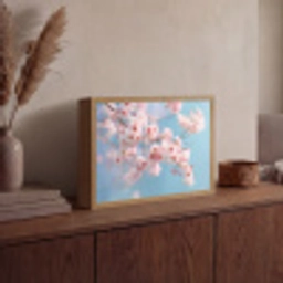 Takken - Bloesems - Roze Light Box met batterij (Wandlamp) middel -sfeer2