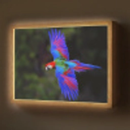 Felgekleurd - Papegaai - Bos - Vleugels Light Box met batterij (Wandlamp) middel -z3d_website