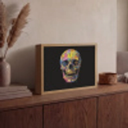 Penseelstreken - Schedel - Kleurrijk - Abstract Light Box met batterij (Wandlamp) middel -sfeer2