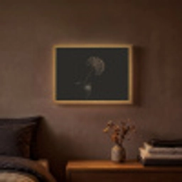 Bol - Gedroogd - Vaas - Zwart Light Box met batterij (Wandlamp) middel -sfeer4