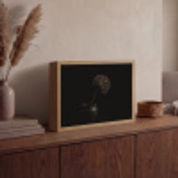 Bol - Gedroogd - Vaas - Zwart Light Box met batterij (Wandlamp) middel -sfeer2