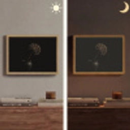 Bol - Gedroogd - Vaas - Zwart Light Box met batterij (Wandlamp) middel -sfeer3