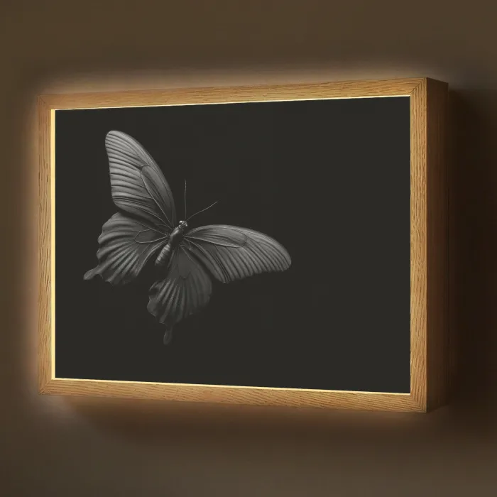 Vlinder - Zwart - Insect - Dieren Light Box met batterij (Wandlamp) middel -z3d_website