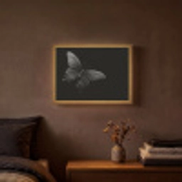 Vlinder - Zwart - Insect - Dieren Light Box met batterij (Wandlamp) middel -sfeer4