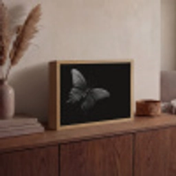 Vlinder - Zwart - Insect - Dieren Light Box met batterij (Wandlamp) middel -sfeer2