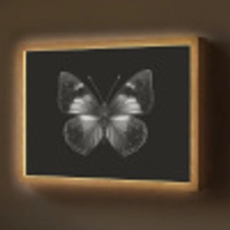 Vlinder - Grijs - Mysterieus Light Box met batterij (Wandlamp) middel -z3d_website