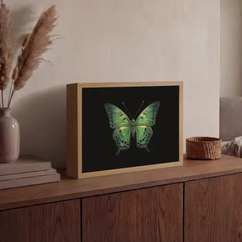 Vlinder - Groen - Diepte Light Box met batterij (Wandlamp) middel -sfeer2
