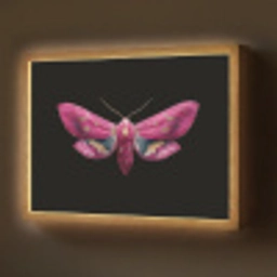 Vlinder - Roze - Nachtvlinder Light Box met batterij (Wandlamp) middel -z3d_website