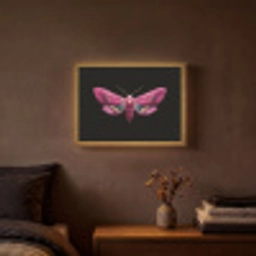 Vlinder - Roze - Nachtvlinder Light Box met batterij (Wandlamp) middel -sfeer4