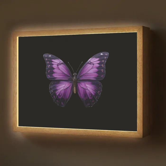 Vlinder - Paars - Levendig Light Box met batterij (Wandlamp) middel -z3d_website