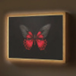 Vlinder - Rood - Contrast Light Box met batterij (Wandlamp) middel -z3d_website