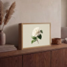Cameliabloem - Wit - Groen Light Box met batterij (Wandlamp) middel -sfeer2