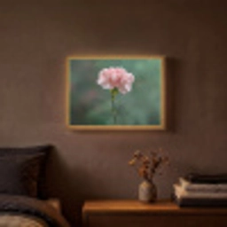Anjer - Roze - Bloemblaadjes Light Box met batterij (Wandlamp) middel -sfeer4