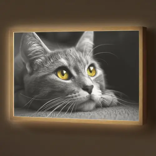 Kat - Zwart - Wit - Dieren - Natuur Light Box met batterij (Wandlamp) middel -z3d_website