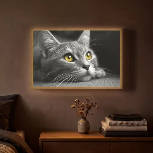 Kat - Zwart - Wit - Dieren - Natuur Light Box met batterij (Wandlamp) middel -sfeer4