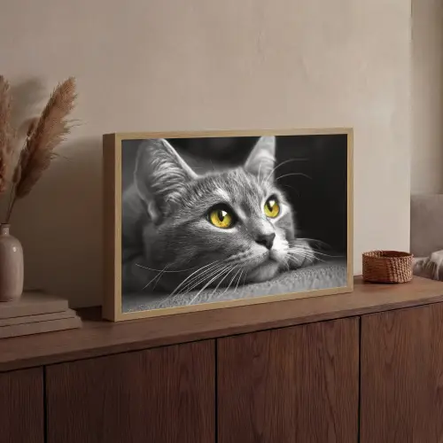 Kat - Zwart - Wit - Dieren - Natuur Light Box met batterij (Wandlamp) middel -sfeer2