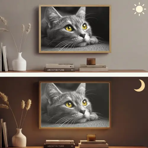 Kat - Zwart - Wit - Dieren - Natuur Light Box met batterij (Wandlamp) middel -sfeer3