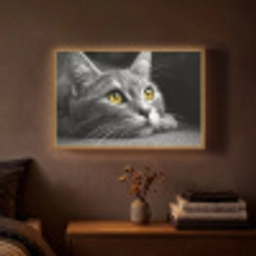 Kat - Zwart - Wit - Dieren - Natuur Light Box met batterij (Wandlamp) middel -sfeer4
