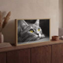 Kat - Zwart - Wit - Dieren - Natuur Light Box met batterij (Wandlamp) middel -sfeer2