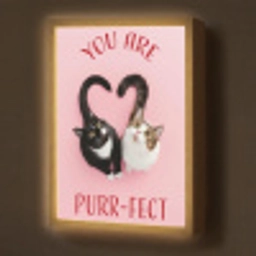 Kat - Hart - Tekst - Valentijn Light Box met batterij (Wandlamp) middel -z3d_website