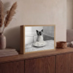 Kat - Siamees - Zwart Wit - Schattig - Dieren Light Box met batterij (Wandlamp) middel -sfeer2