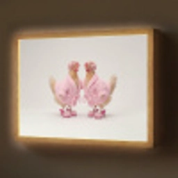 Kippen - Badjas - Krukspelden - Hakken Light Box met batterij (Wandlamp) middel -z3d_website