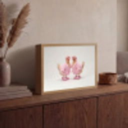 Kippen - Badjas - Krukspelden - Hakken Light Box met batterij (Wandlamp) middel -sfeer2