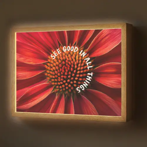 Close up - Bloem - Quote - Rood Light Box met batterij (Wandlamp) middel -z3d_website
