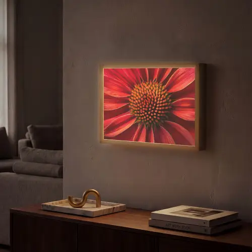 Close up - Bloem- Rood Light Box met batterij (Wandlamp) middel -sfeer1