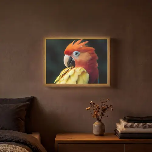 Close-up - Papegaai - Veren - Oranje Light Box met batterij (Wandlamp) middel -sfeer4