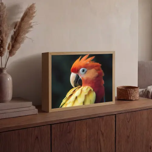 Close-up - Papegaai - Veren - Oranje Light Box met batterij (Wandlamp) middel -sfeer2