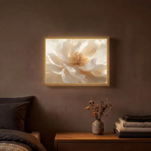 Close up - Pioenroos - Wit Light Box met batterij (Wandlamp) middel -sfeer4