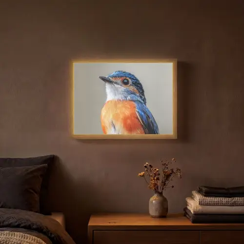 Kleurrijk - Vogeltje - Veren - Blauw Light Box met batterij (Wandlamp) middel -sfeer4