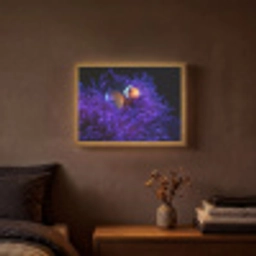 Koraal - Vis - Oranje - Zee Light Box met batterij (Wandlamp) middel -sfeer4
