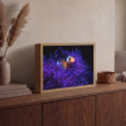Koraal - Vis - Oranje - Zee Light Box met batterij (Wandlamp) middel -sfeer2