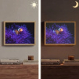 Koraal - Vis - Oranje - Zee Light Box met batterij (Wandlamp) middel -sfeer3