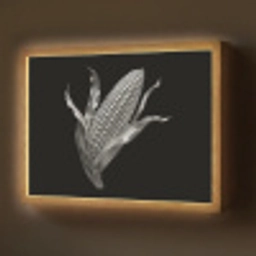 Maïskolf - Glanzend metaal - Elegant Light Box met batterij (Wandlamp) middel -z3d_website