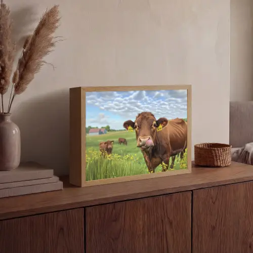 Koe - Weide - Bloemen Light Box met batterij (Wandlamp) middel -sfeer2