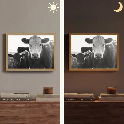 Koeien - Zwart - Wit Light Box met batterij (Wandlamp) middel -sfeer3